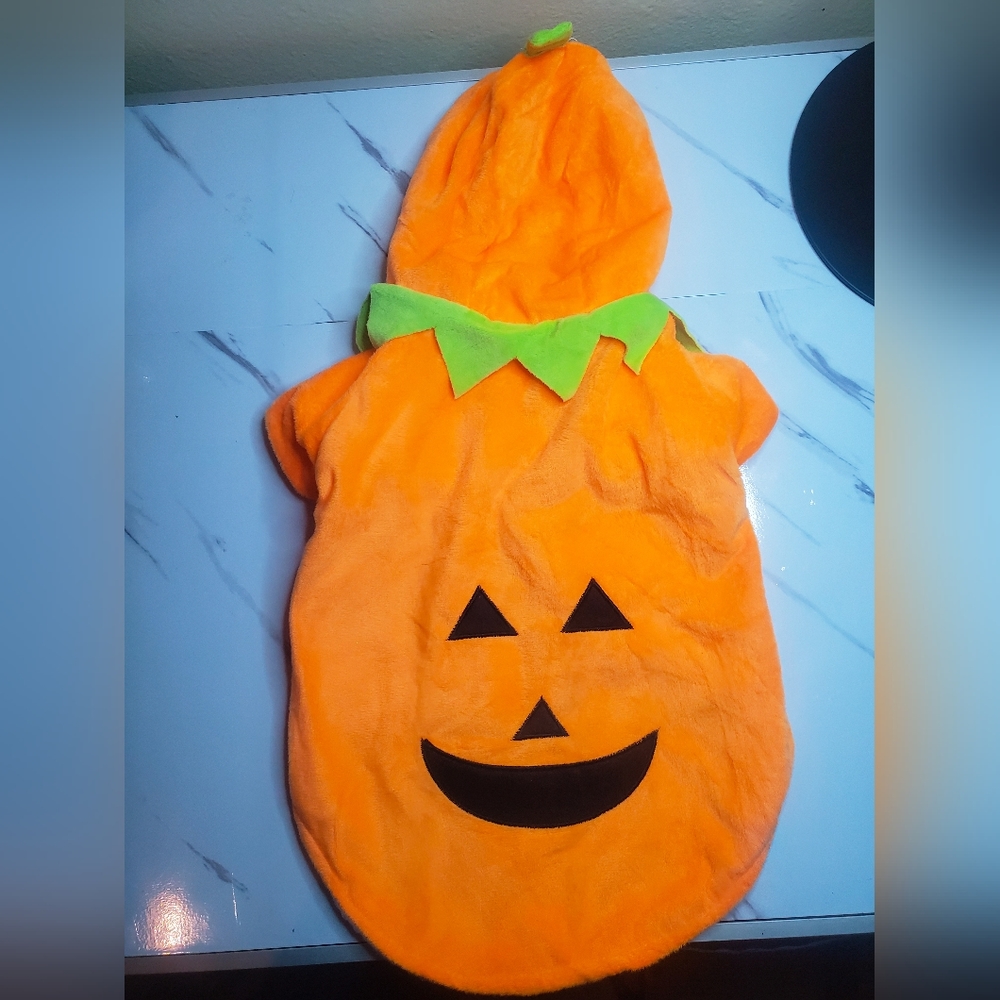 Medium Dog Pumpkin Costume